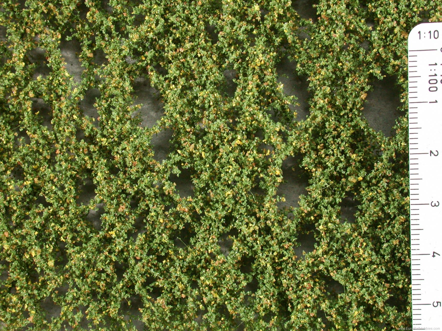 Silhouette Silflor MiniNatur 913-13S Lombardy poplar foliage, Early Fall (15x4 cm)