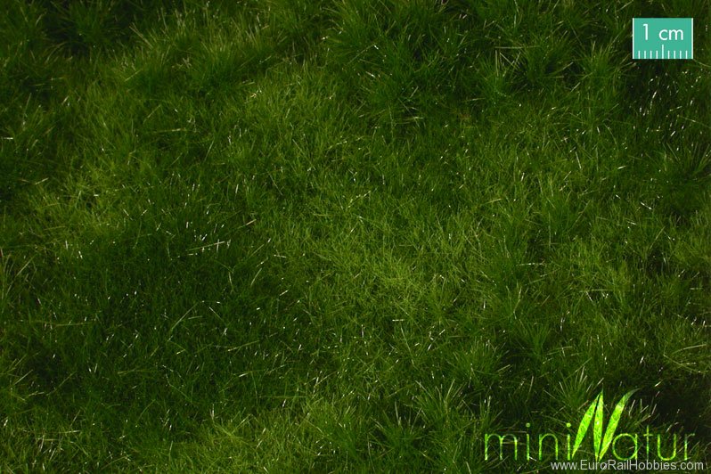 Silhouette Silflor MiniNatur 733-22H Fertileplain meadow, Summer (50x31,5 cm)