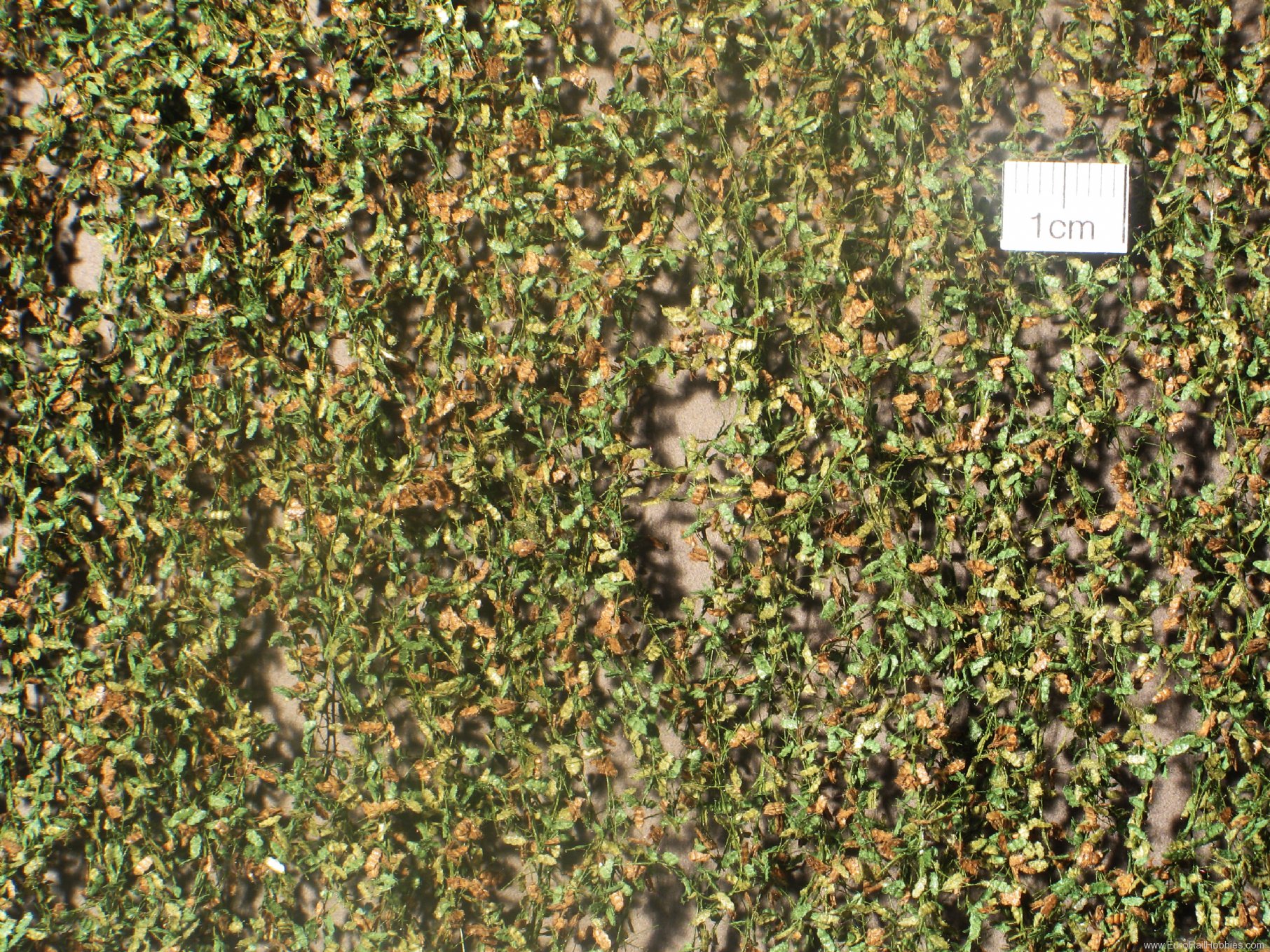 Silhouette Silflor MiniNatur 980-23S Oak foliage, Early Fall (15x4 cm)