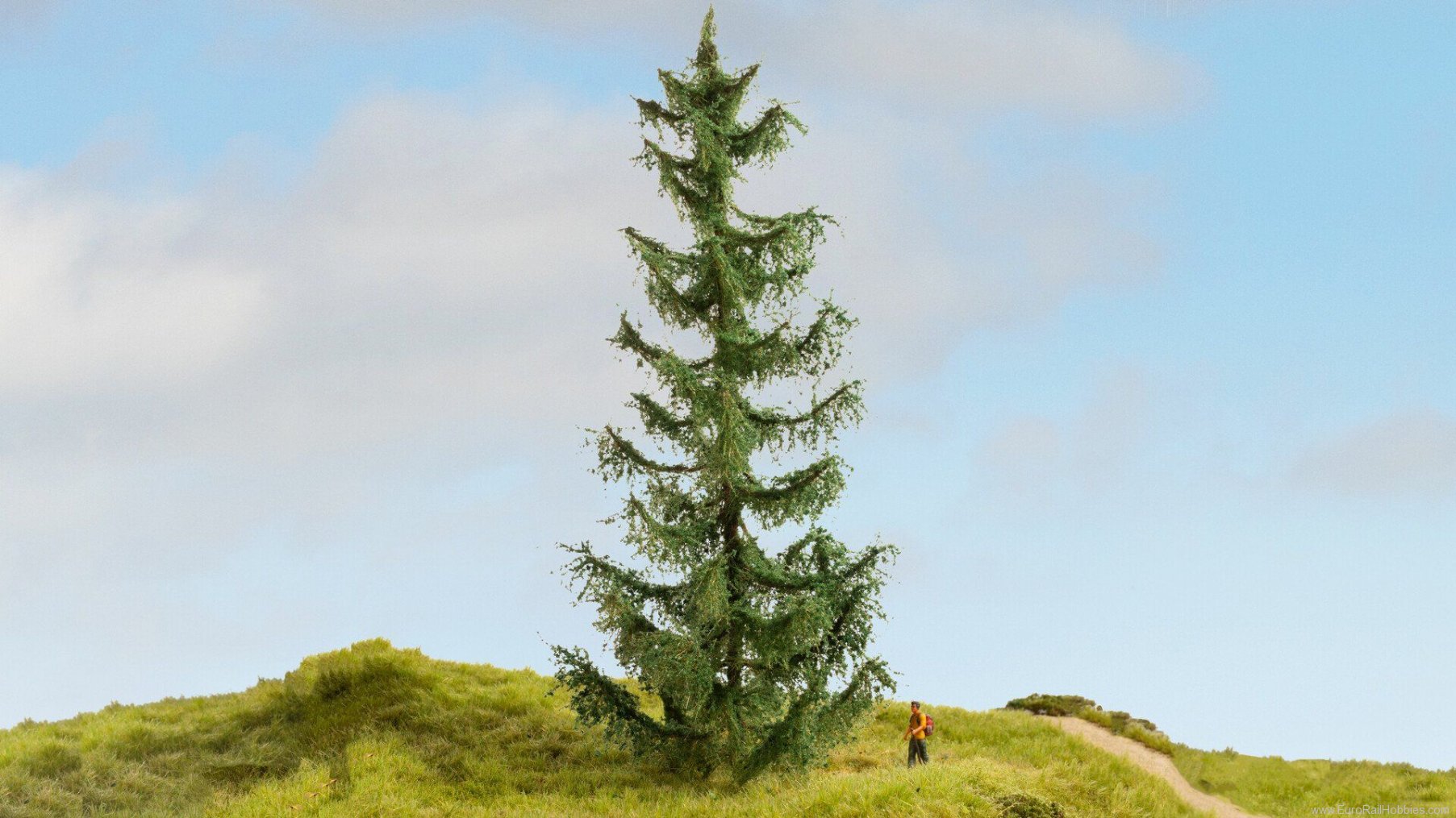 Noch 20191 Spruce Tree