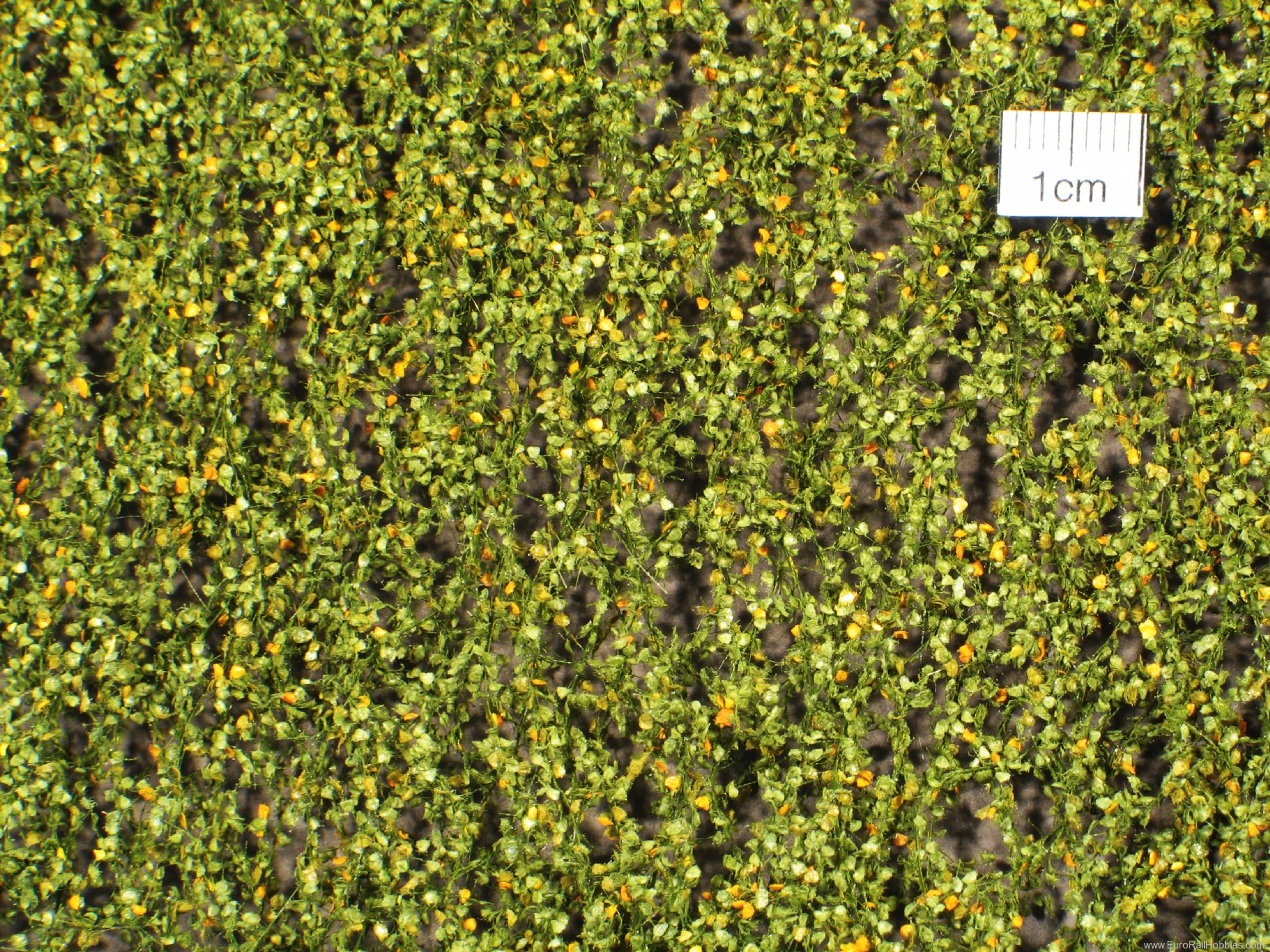 Silhouette Silflor MiniNatur 910-23S Birch foliage, Early Fall (15x4 cm)