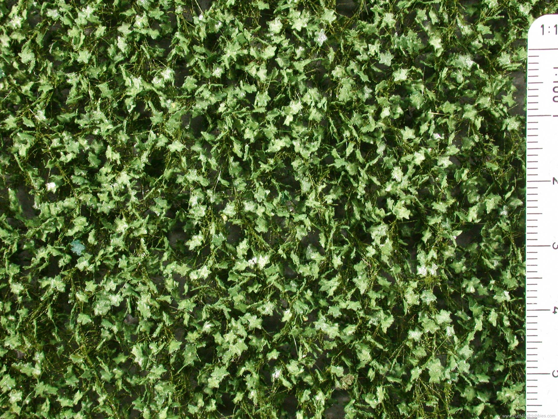 Silhouette Silflor MiniNatur 930-22S Maple foliage, Summer (15x4 cm)