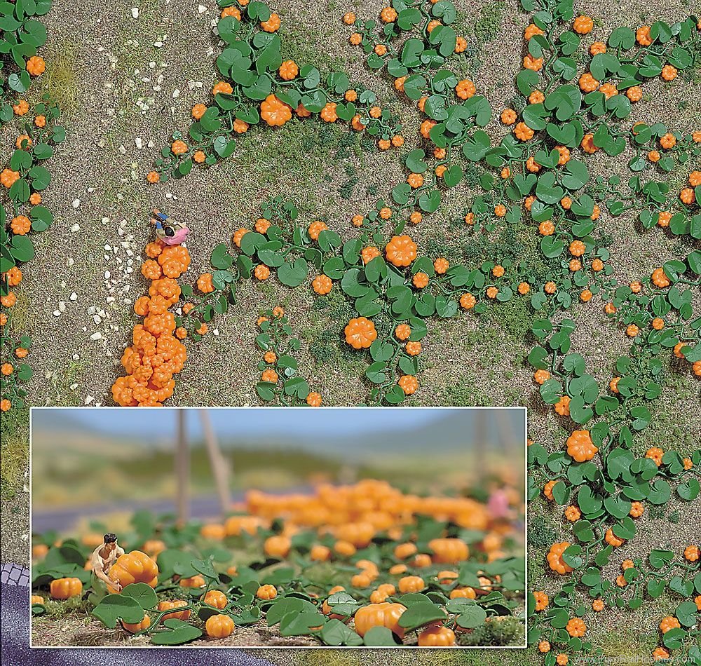 Busch 1201 Pumpkin Field 