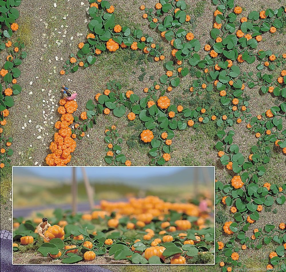 Busch 1201 Pumpkin Field 