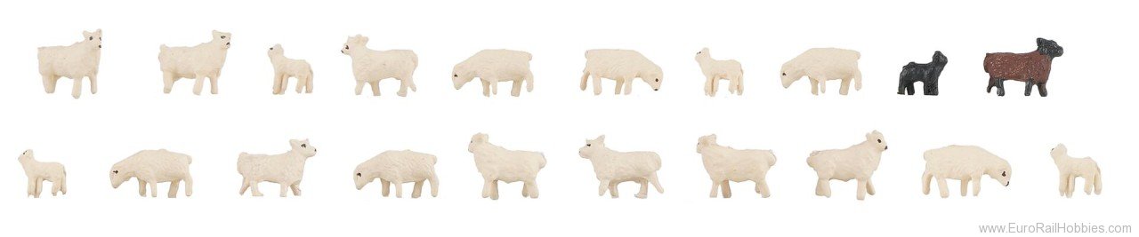 Faller 155907 20 Domestic sheep