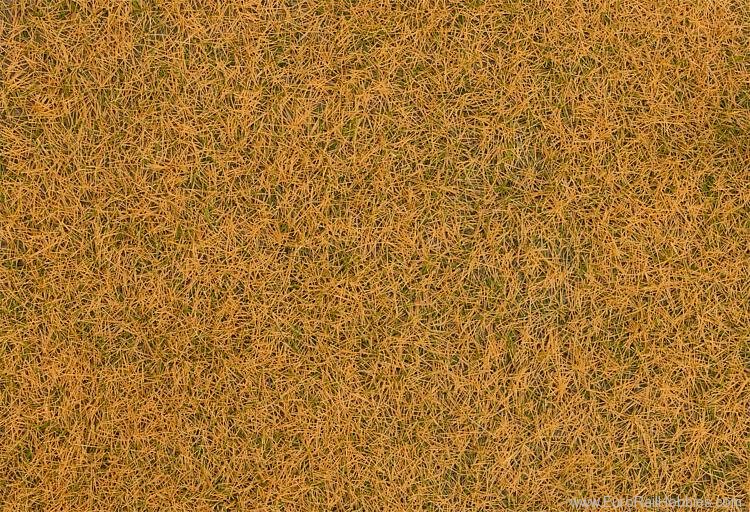 Faller 170210 Wild grass ground cover fibres, withered, 4 m