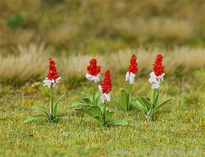 Faller 181267 32 Orchid primroses