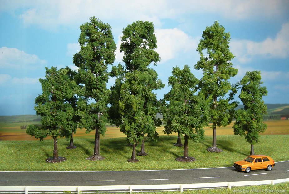 Heki 1323 10 Beech Trees 10-18 cm