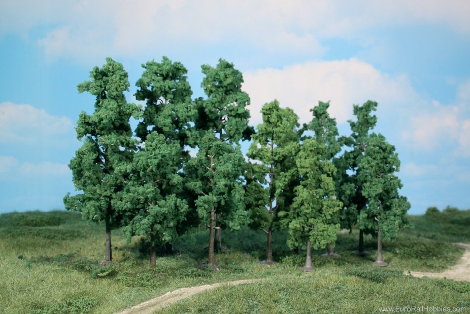 Heki 1368 60 deciduous trees 10-13 cm