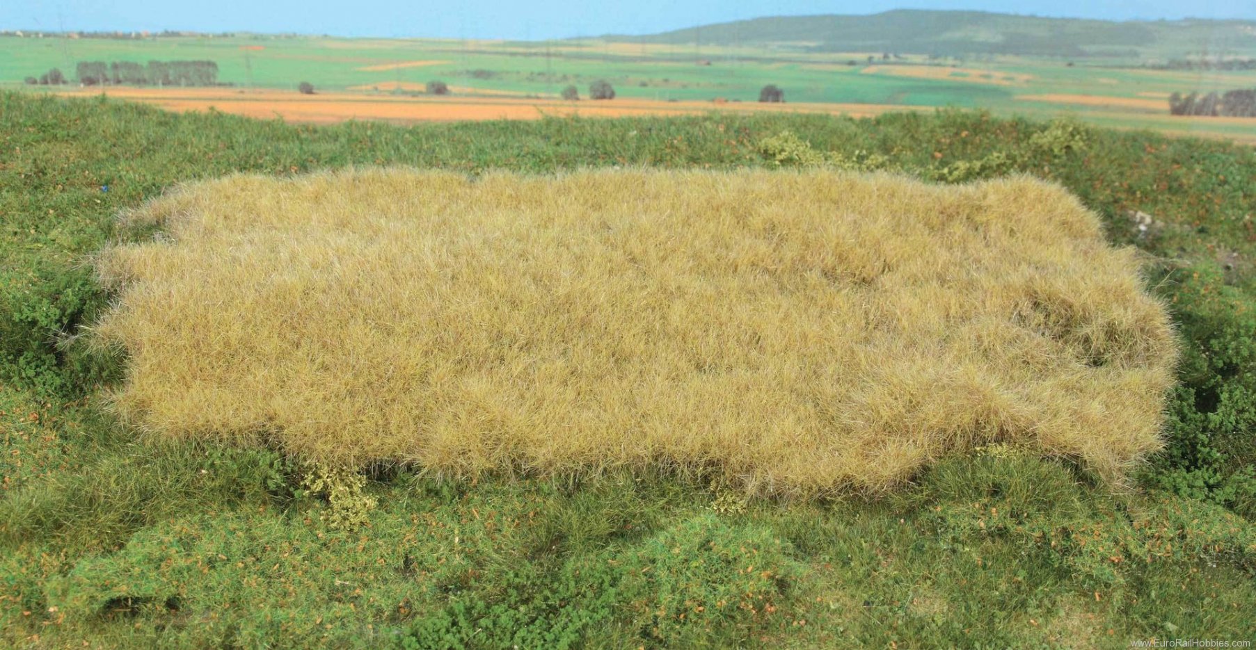 Heki 15790 Wild grass 14x28cm Hayfield