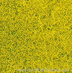 Heki 1593 HEKI decovlies Meadow Grass, Rapeseed