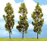 Heki 1737 3 poplars to being 13 cm 