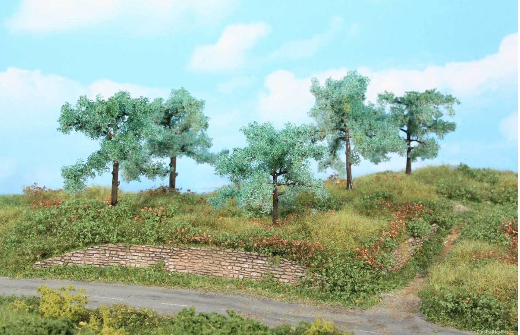 Heki 1773 5 Olive Trees 8-11 cm