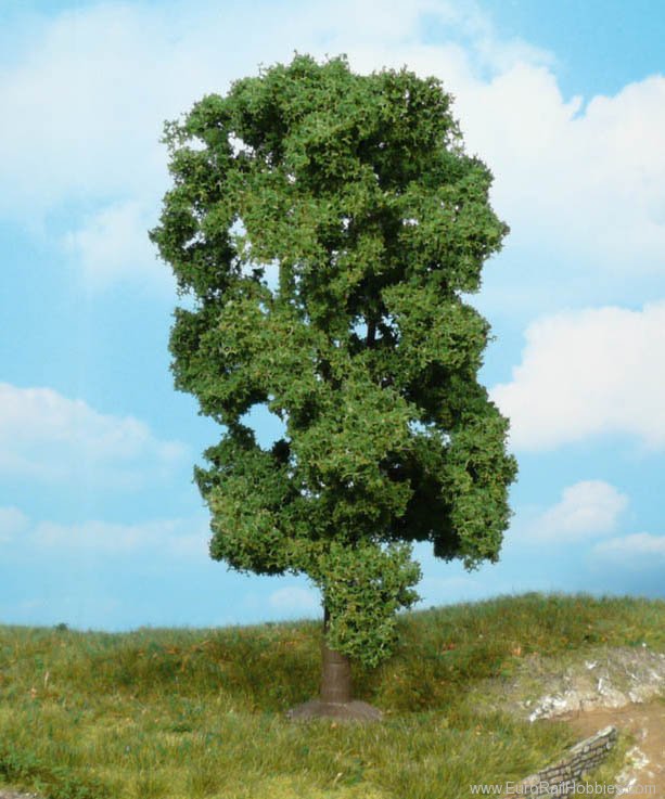 Heki 1910 Super Artline 1 Lime Tree 18 cm