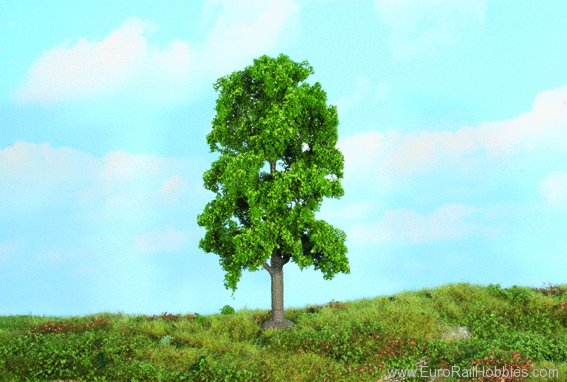 Heki 19104 1 Lime Tree 18 cm