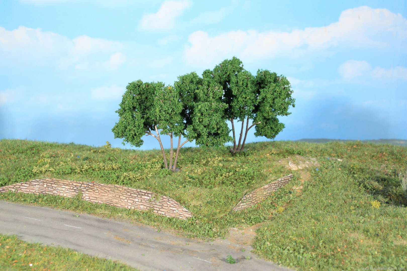 Heki 19113 2 Hornbeam Trees 9 cm - Super Artline