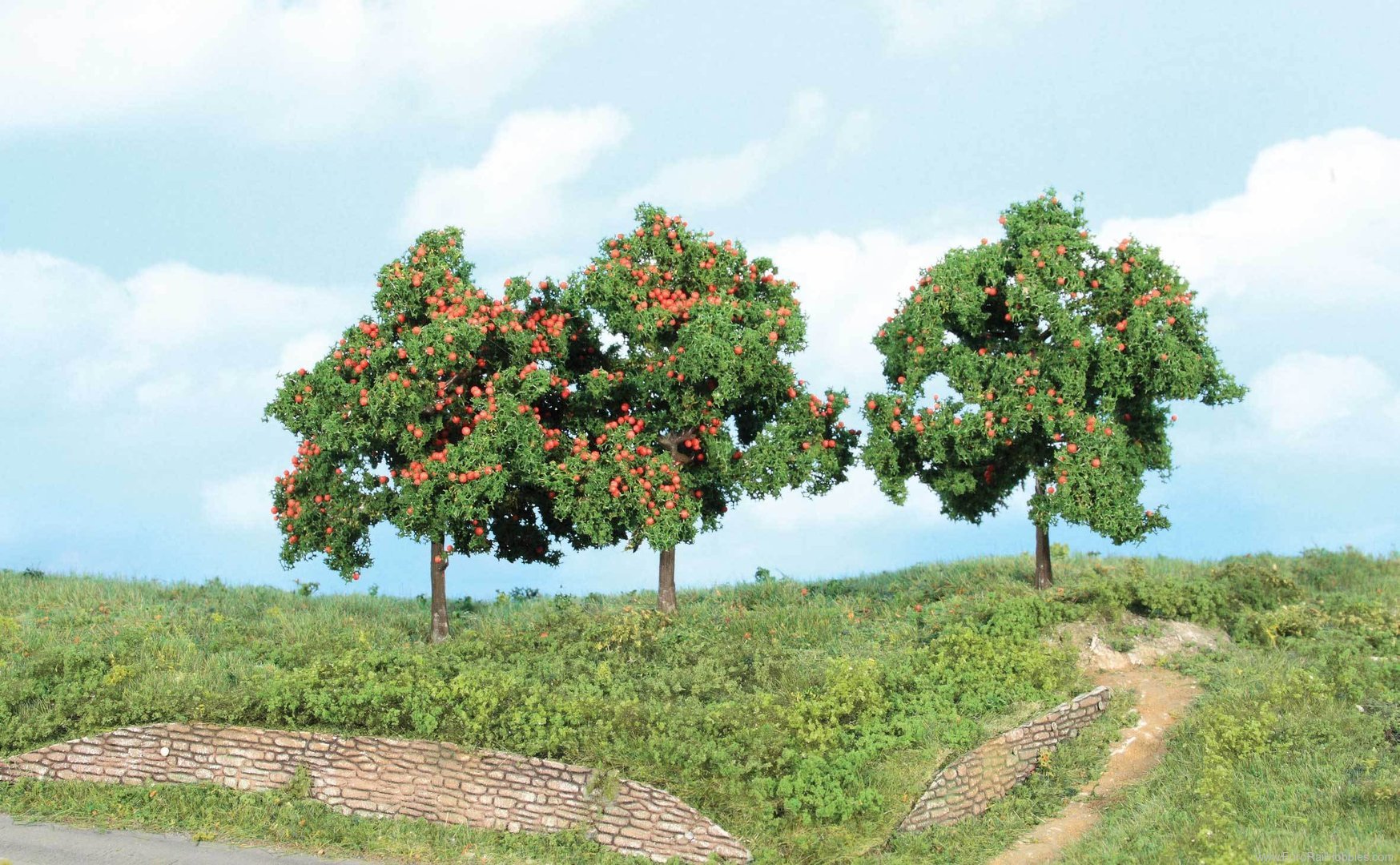 Heki 1929 3 apple trees, 13 cm