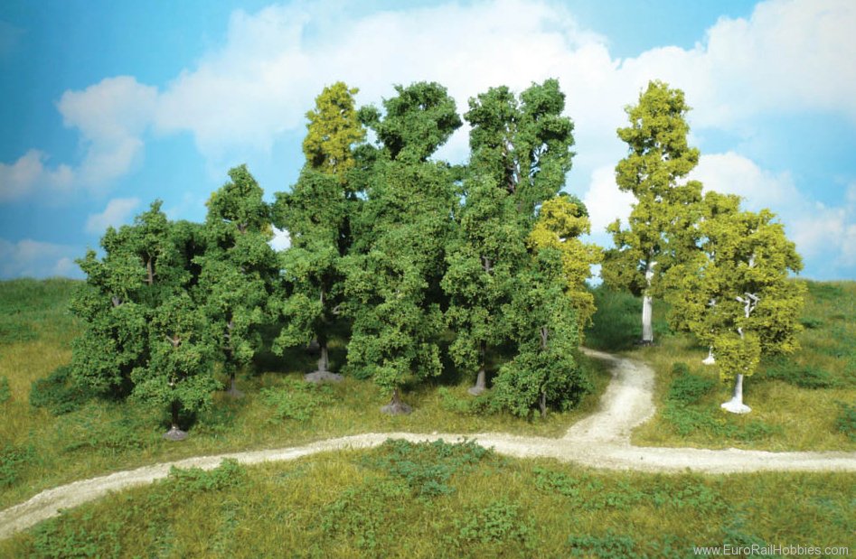 Heki 1955 20 trees sorted 5-11 cm