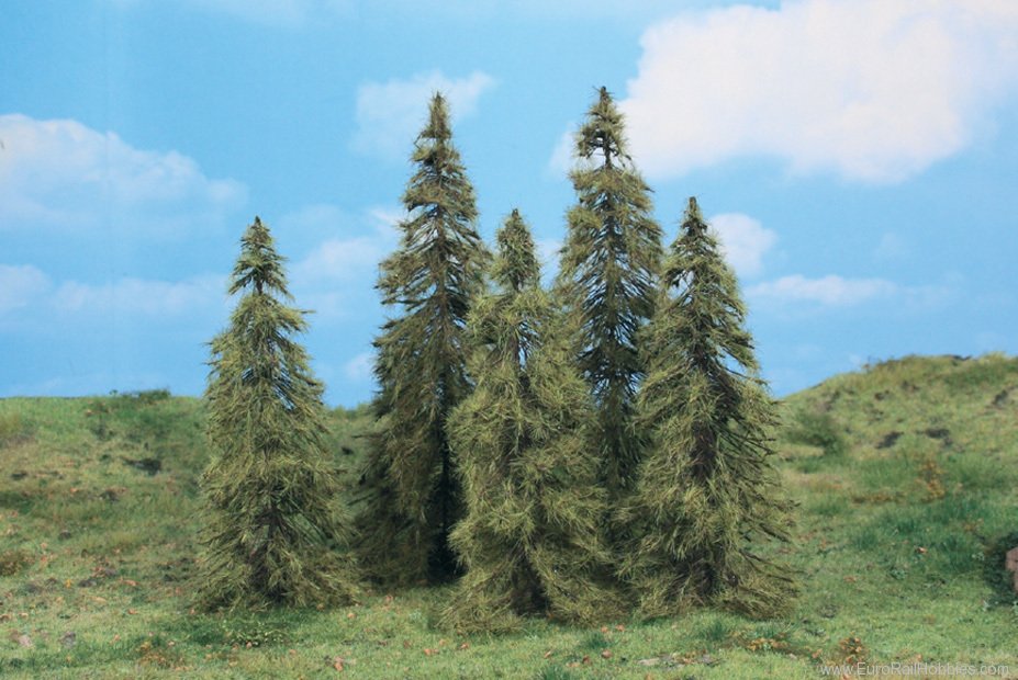 Heki 2176 5 larch 14-18 cm