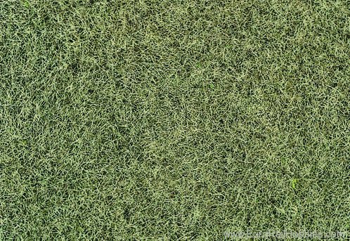 Heki 33540 Willdgras Static Grass 6mm Dry Grass