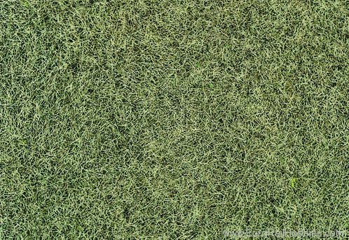 Heki 33540 Willdgras Static Grass 6mm Dry Grass