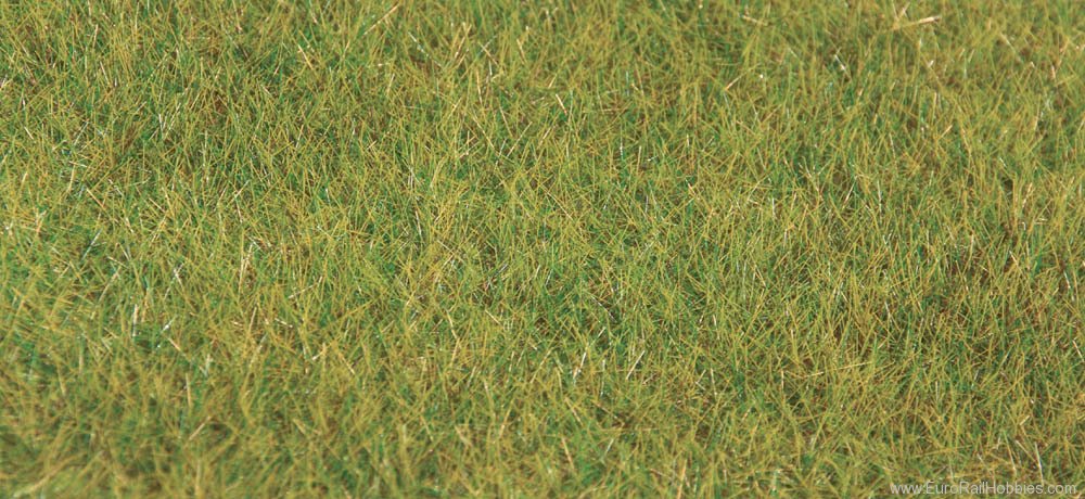 Heki 3377 Static Grass - Summer 50g 10mm