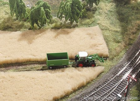 MBZ Thomas Oswald 30105 Grain Field