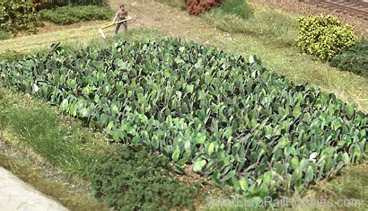 MBZ Thomas Oswald 80030 Turnips
