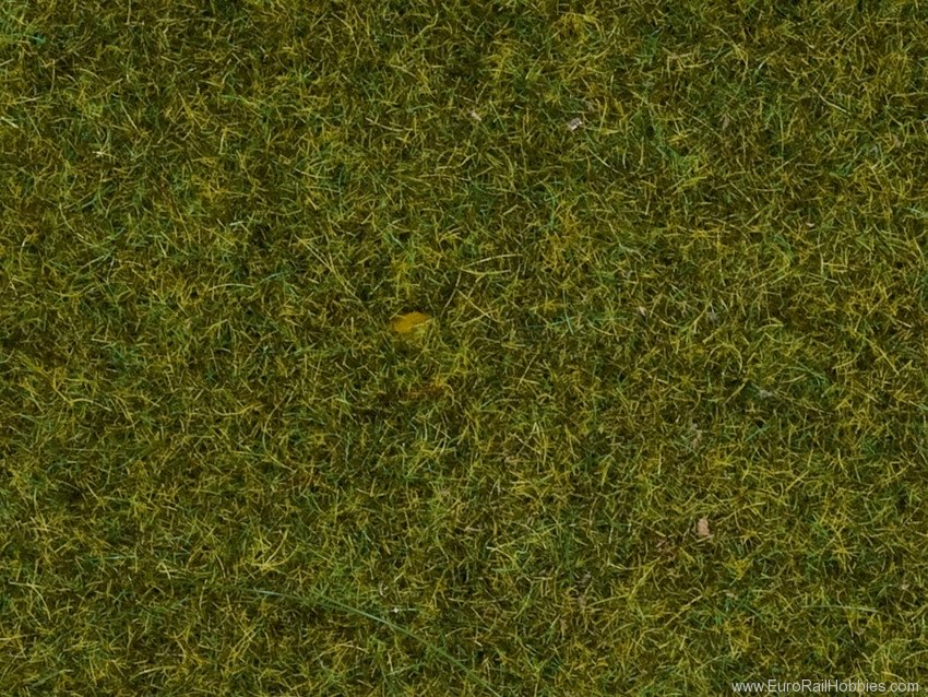 Noch 07117 Wild Grass 'Meadow' Grass