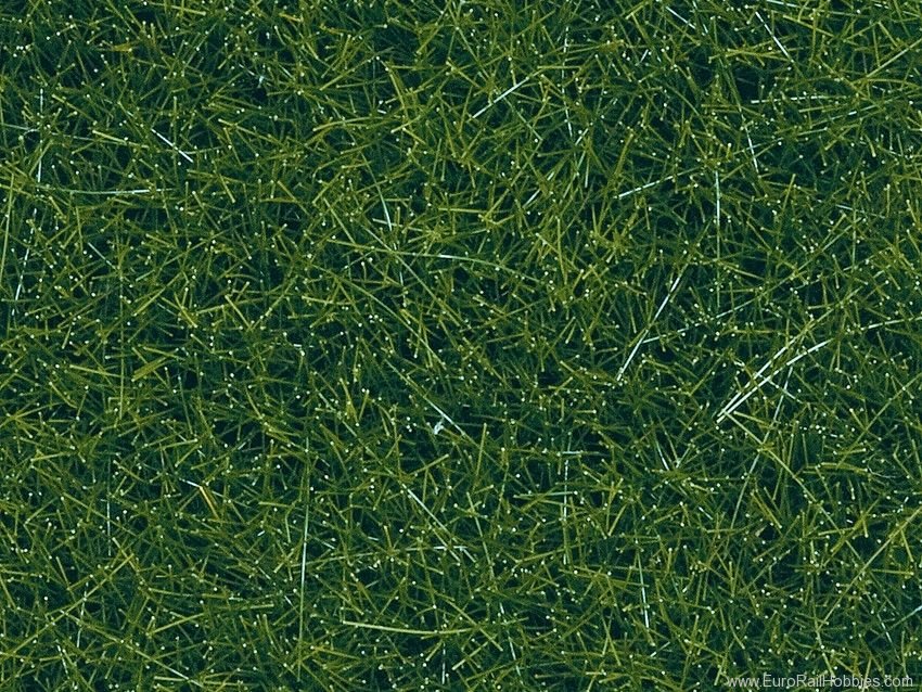 Noch 07120 Wild Grass, dark green