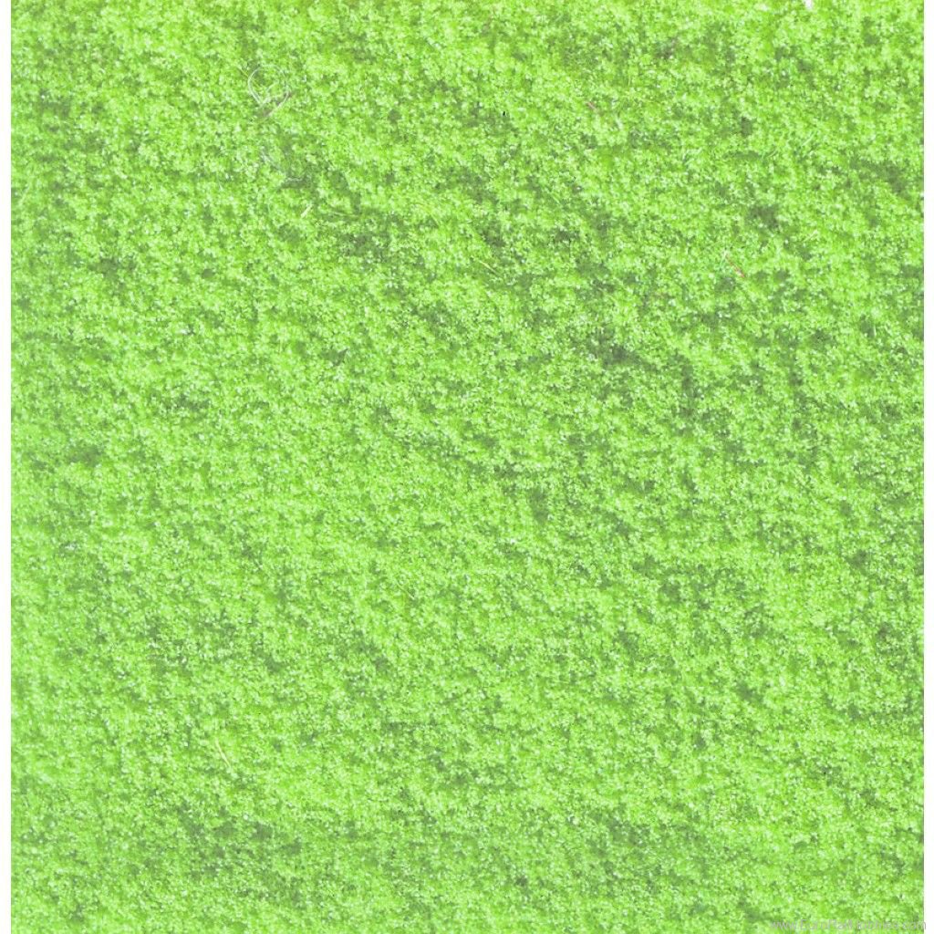 Noch 07241 Flock Material, Light Green 30g