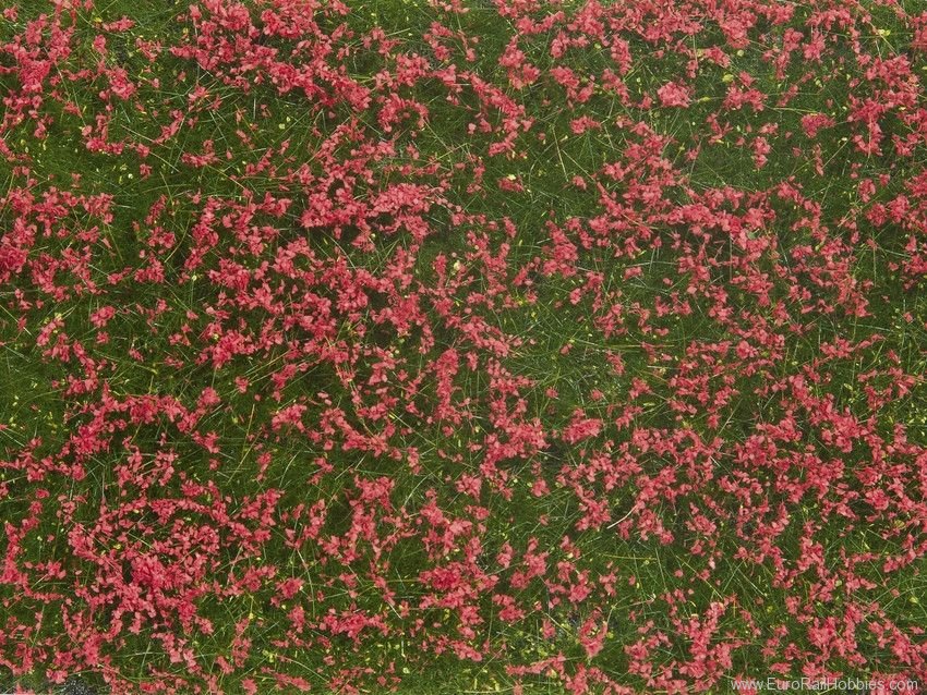 Noch 07257 Groundcover Foliage Meadow red