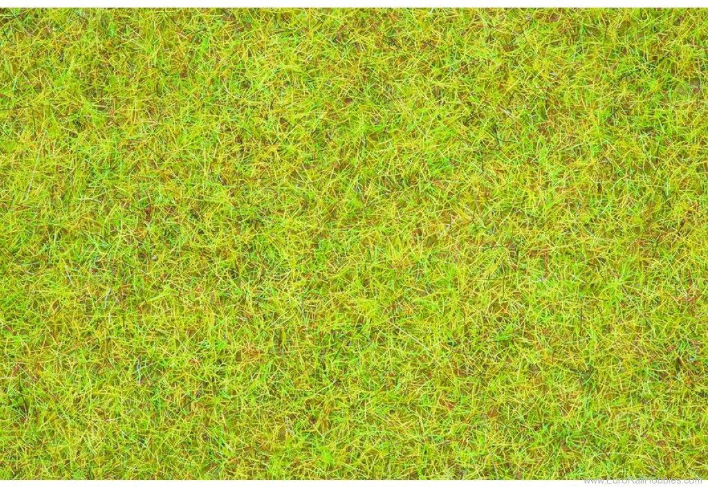 Noch 08151 Scatter (static) Grass Summer Meadow 2.5 mm (