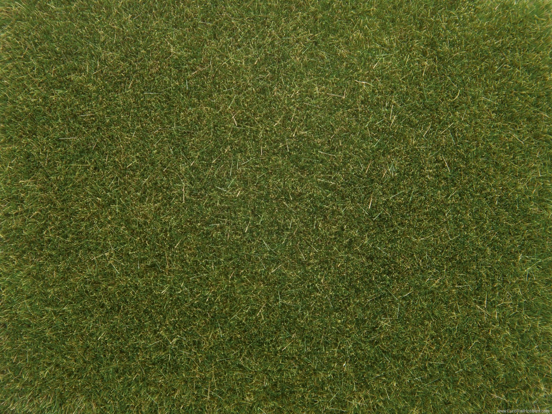 Noch 08364 Scatter Grass, medium green