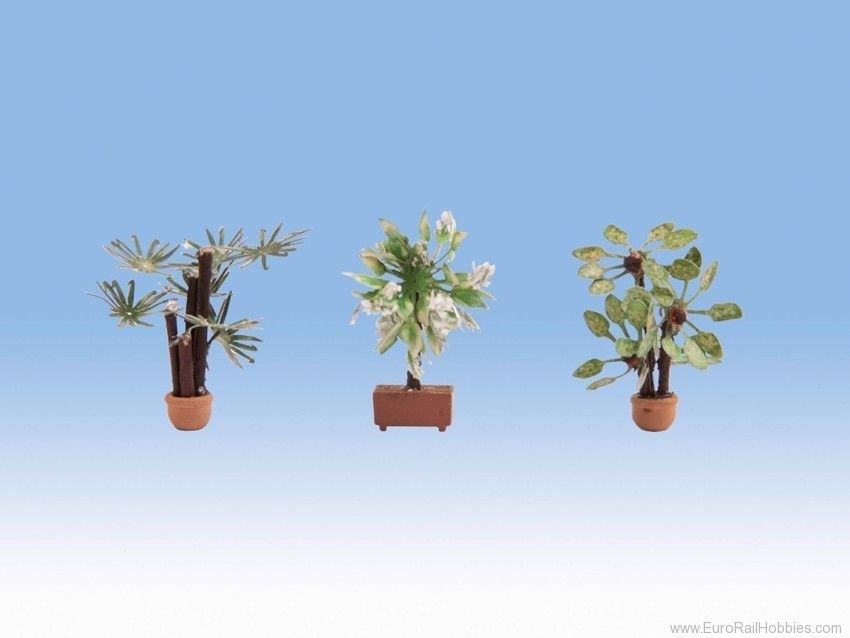 Noch 14023 Mediterranean Plants