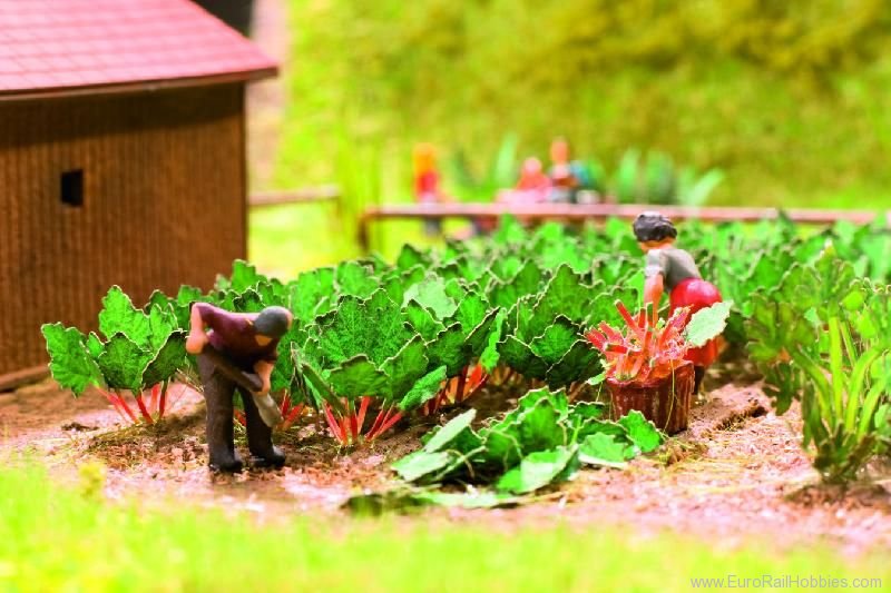 Noch 14108 Laser-Cut minis Rhubarb, 12 plants