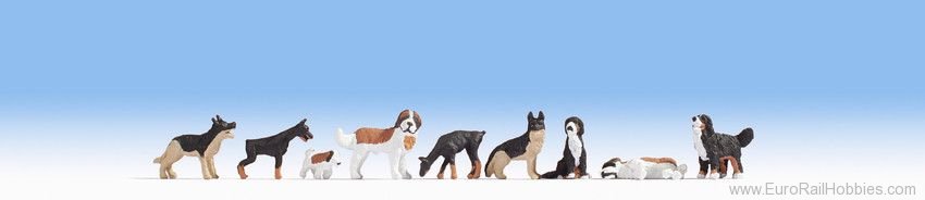 Noch 15717 Dogs