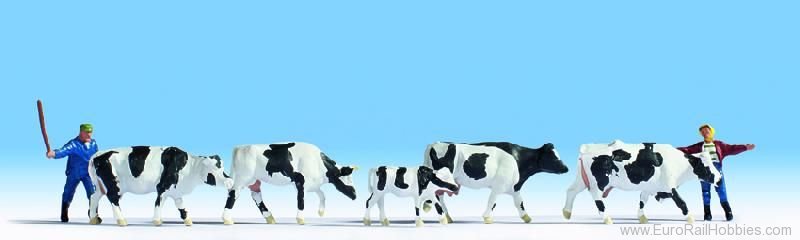 Noch 15724 Drover & Cows, 2 figures + 5 cows