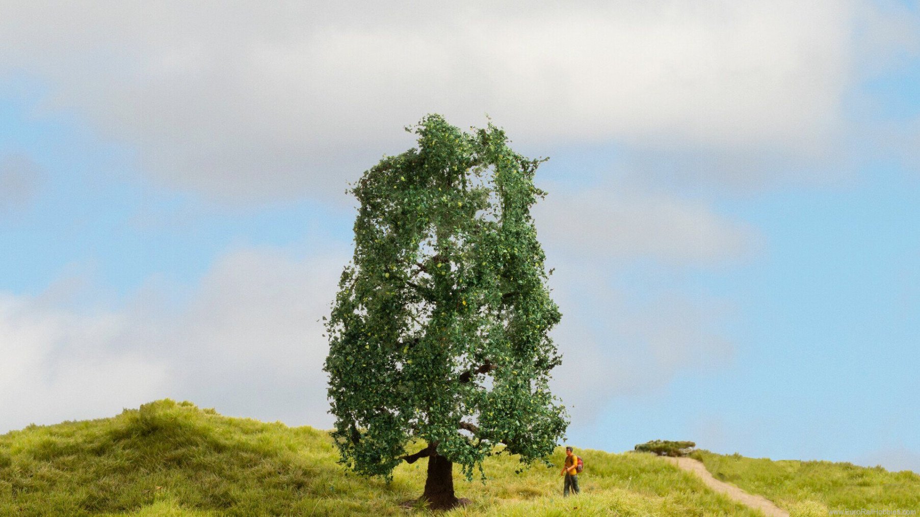 Noch 20110 Oak Tree
