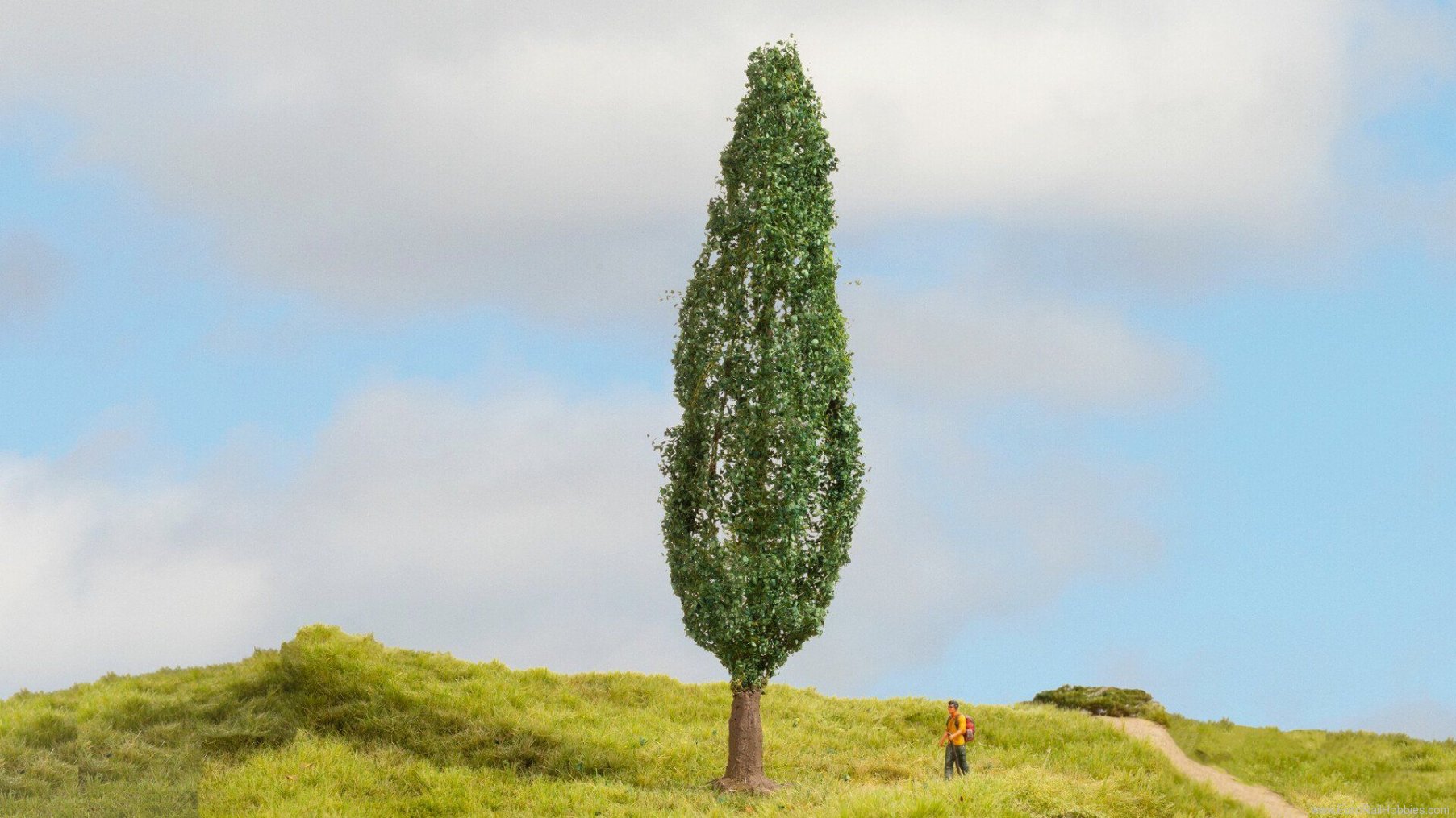 Noch 20130 Poplar Tree