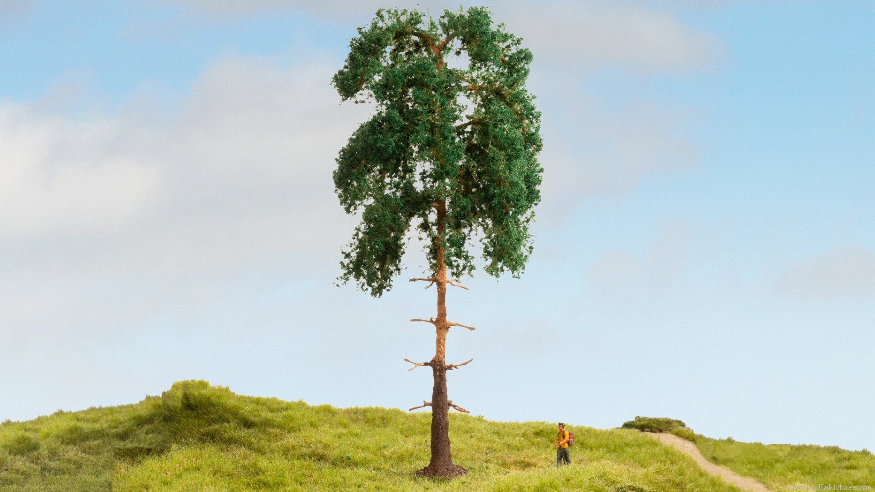 Noch 20141 Pine Tree