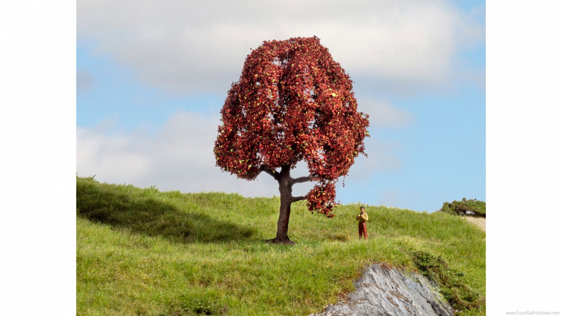 Noch 20151 Noch Copper Beech