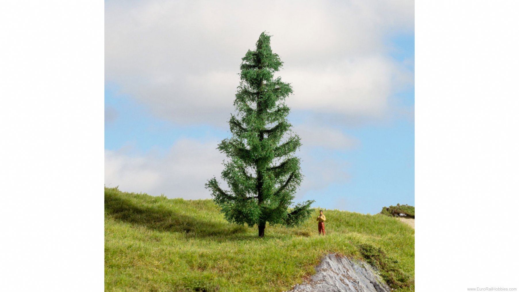 Noch 20193 Noch Spruce Tree