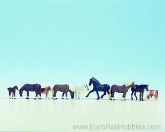 Noch 45761 Horses, 9 animals
