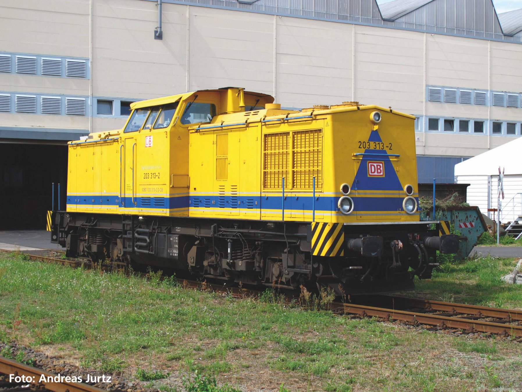 Piko 37558 G-DB Net BR 203 Diesel Locomotive