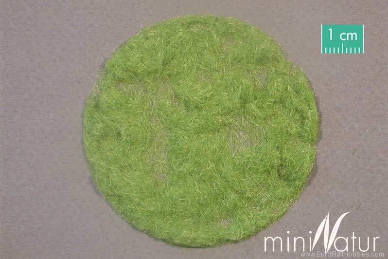 Silhouette Silflor MiniNatur 002-01 Gras-Flock 2 mm, Spring 100 g