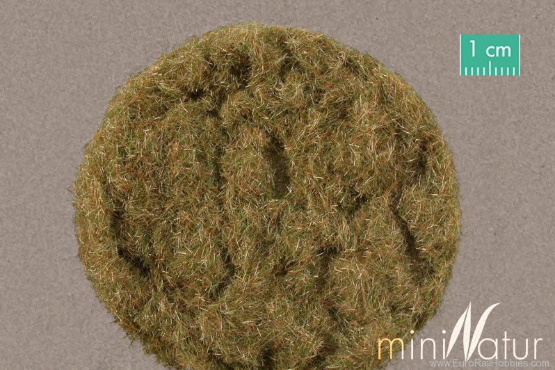 Silhouette Silflor MiniNatur 002-19 Gras-Flock 2 mm   , Hay 250g
