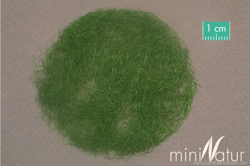 Silhouette Silflor MiniNatur 006-02 Gras-Flock 6,5 mm, Summer (100 g)