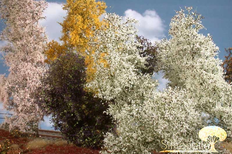 Silhouette Silflor MiniNatur 200-15S Filigree Bush, Flourishing 