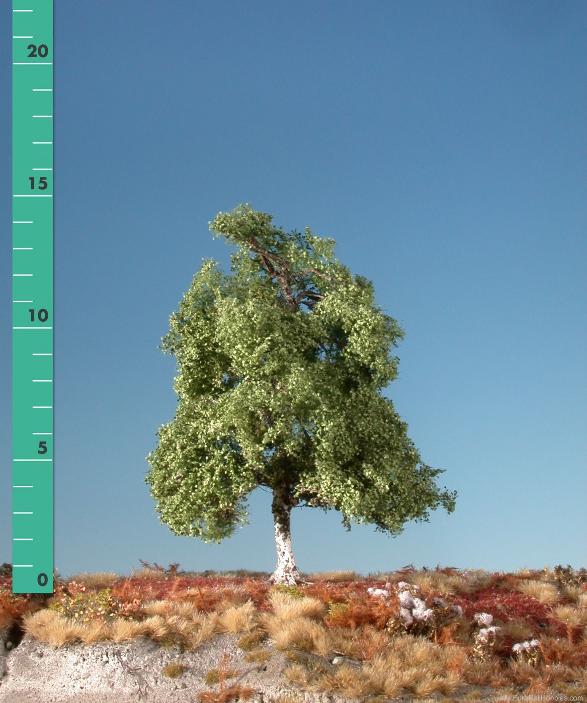 Silhouette Silflor MiniNatur 210-02 Moor birch, Summer (up to 8cm)